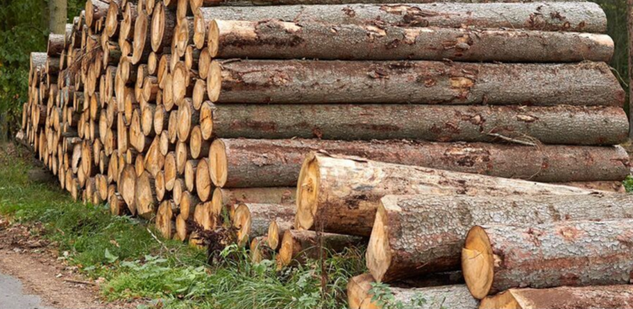 Amoncellement de billots sur le long d'une terre à Magog. Le bois servira à faire du bois de Chauffage pour les résidents de Magog.